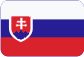 Lightweight Sub-Dividing Partitions Slovensky